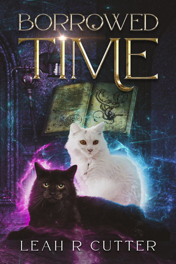 Borrowed Time Cover
