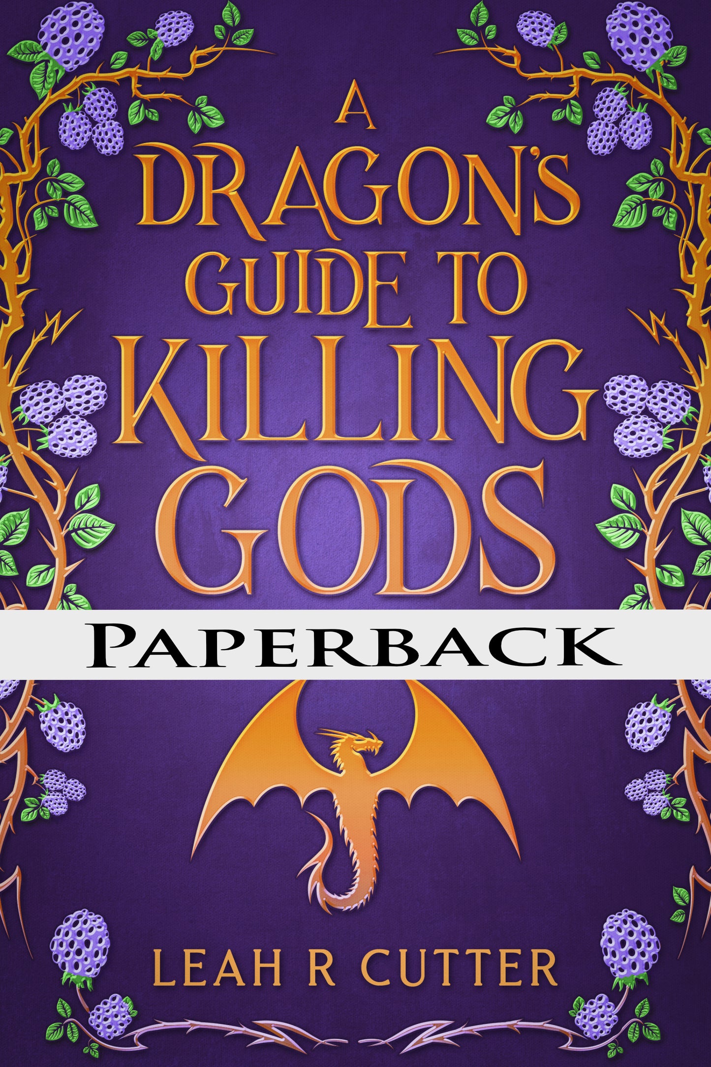 A Dragon's Guide to Killing Gods (And Other Lies)