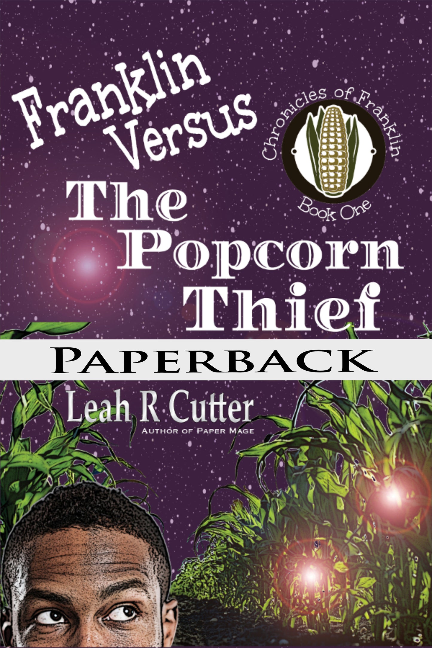 Franklin Versus the Popcorn Thief