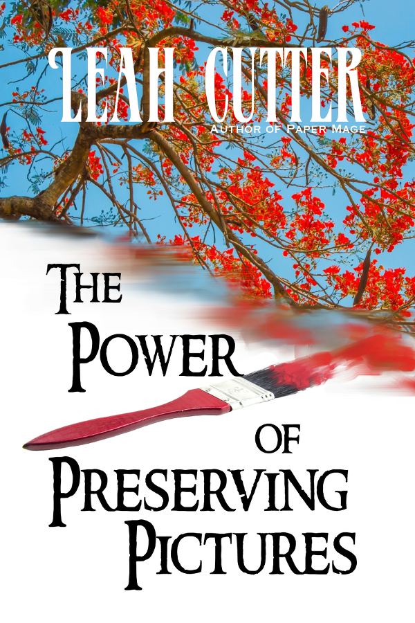 Book Cover: The Power of Preserving Pictures