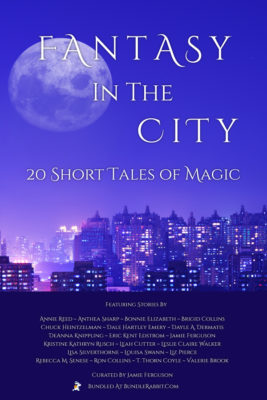 Book Cover: The Fantasy In The City Bundle