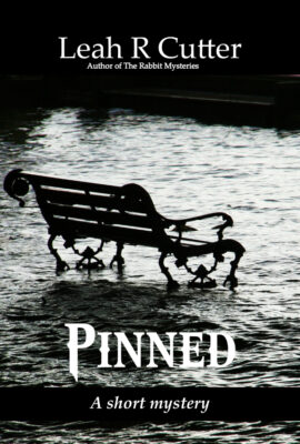 Cover for Pinned