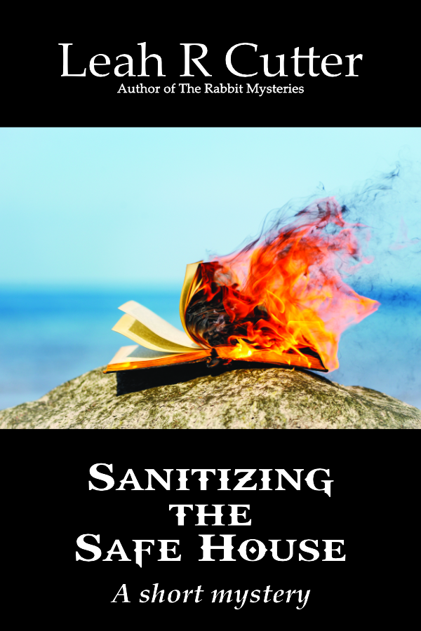 Book Cover: Sanitizing the Safe House
