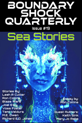 Book Cover: Sea Stories